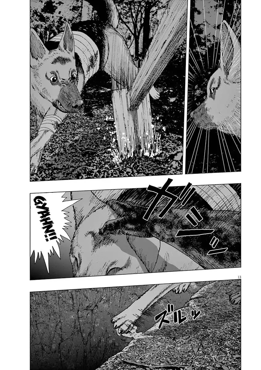 I Am a Hero in Ibaraki Chapter 5 page 13 - Chapter 5