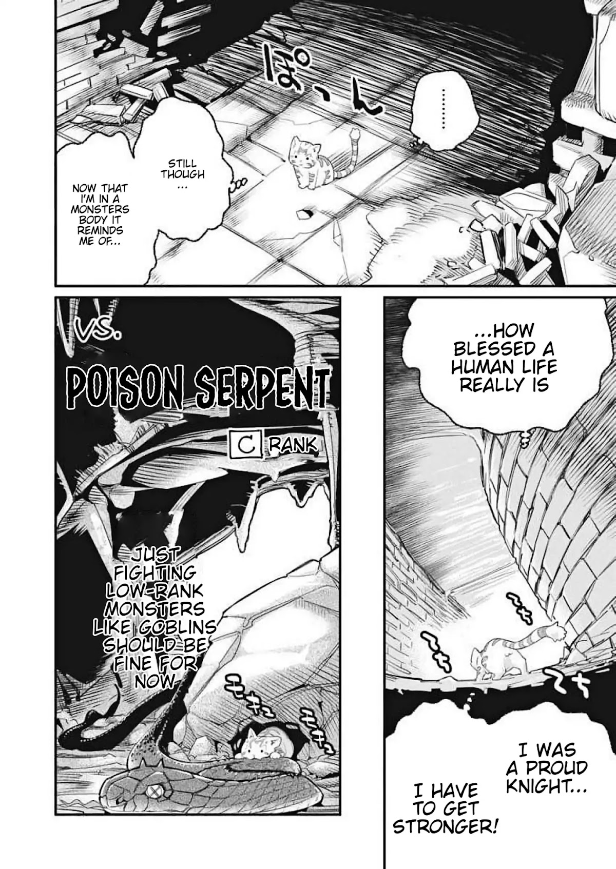 I Am Behemoth Of The S Rank Monster But I Am Mistaken As A Cat And I Live As A Pet Of Elf Girl Chapter 1 page 14 - Chapter 1: A Knight's Vow