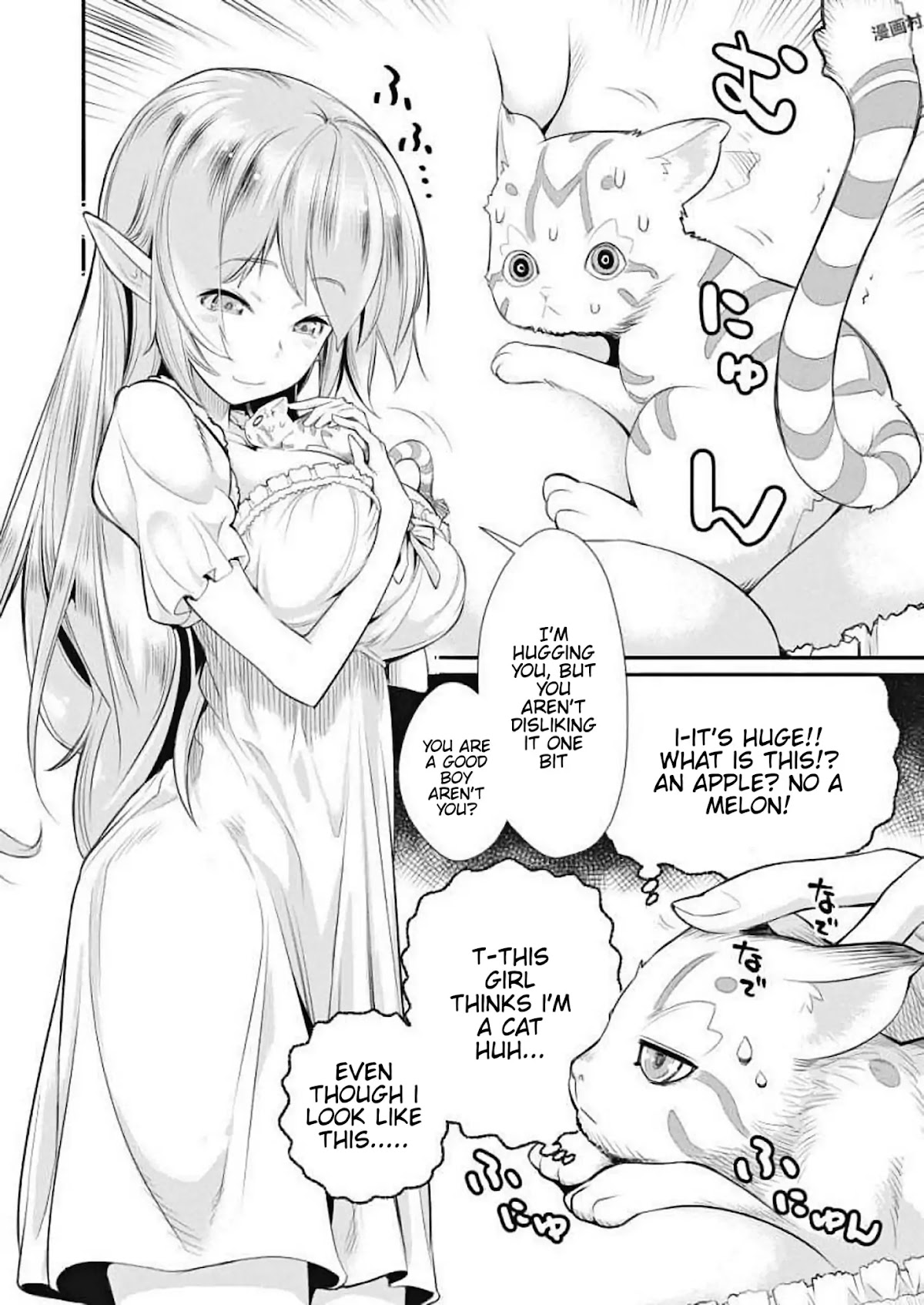 I Am Behemoth Of The S Rank Monster But I Am Mistaken As A Cat And I Live As A Pet Of Elf Girl Chapter 1 page 8 - Chapter 1: A Knight's Vow