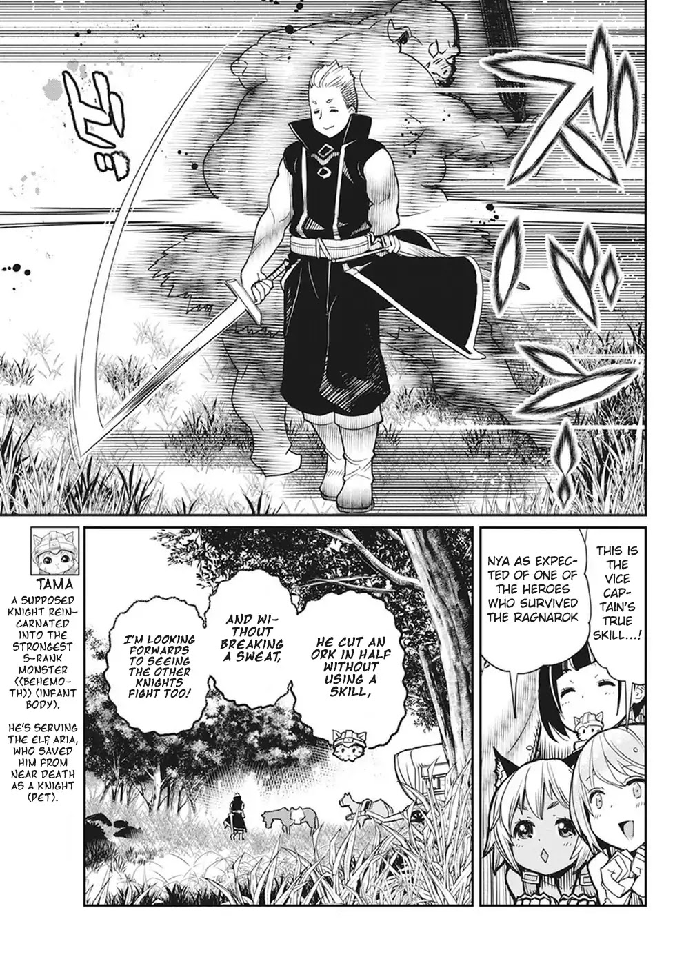 I Am Behemoth Of The S Rank Monster But I Am Mistaken As A Cat And I Live As A Pet Of Elf Girl Chapter 11 page 6 - Chapter 11: The Knight Squad's Abilities