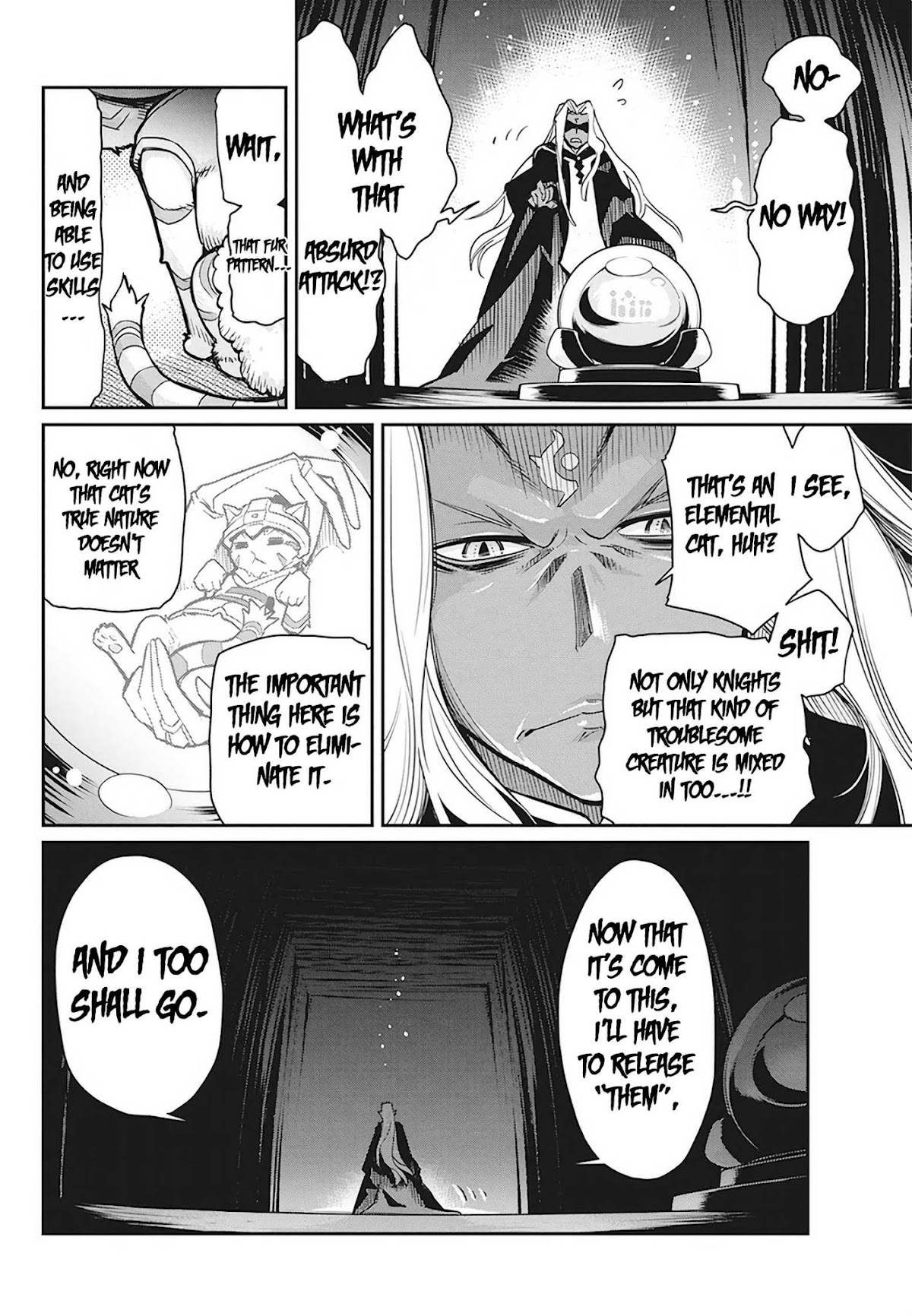 I Am Behemoth Of The S Rank Monster But I Am Mistaken As A Cat And I Live As A Pet Of Elf Girl Chapter 13 page 10 - Chapter 13: The Enemy's True