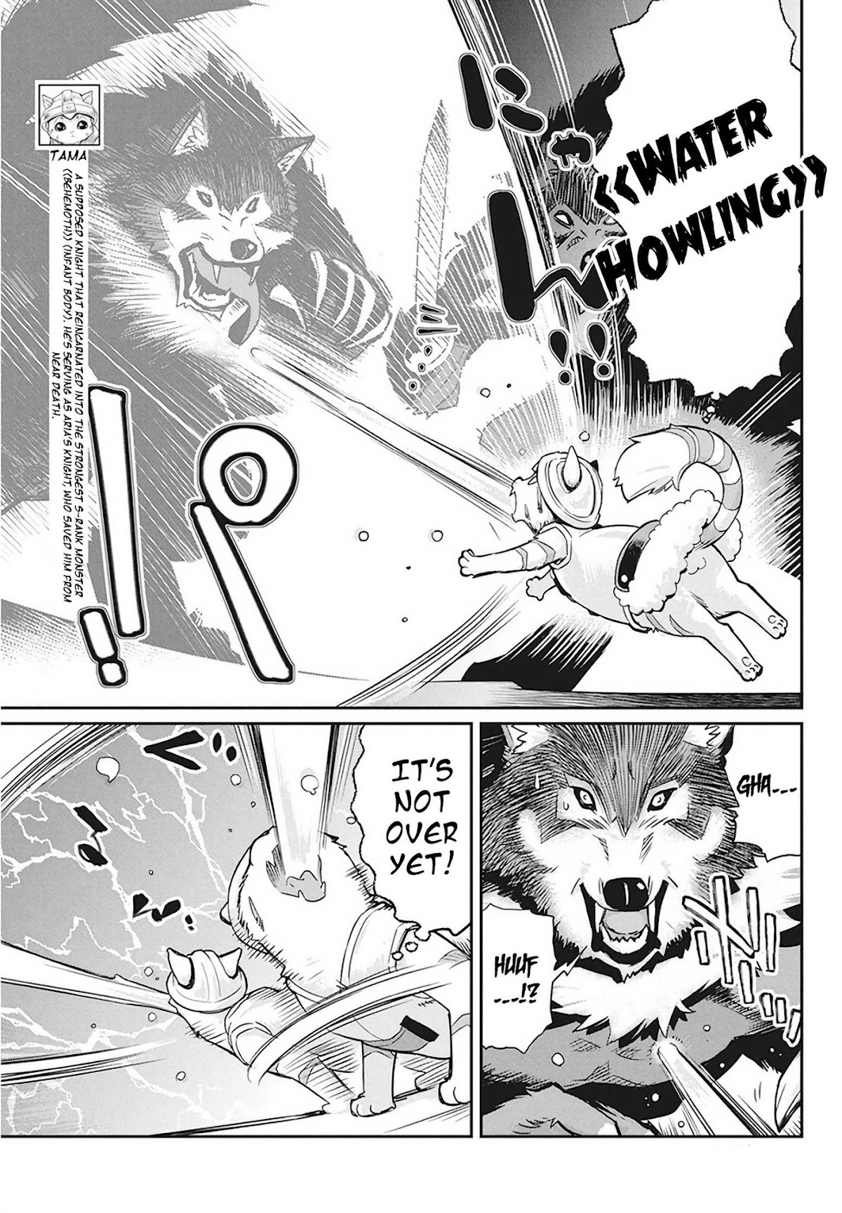 I Am Behemoth Of The S Rank Monster But I Am Mistaken As A Cat And I Live As A Pet Of Elf Girl Chapter 13 page 8 - Chapter 13: The Enemy's True
