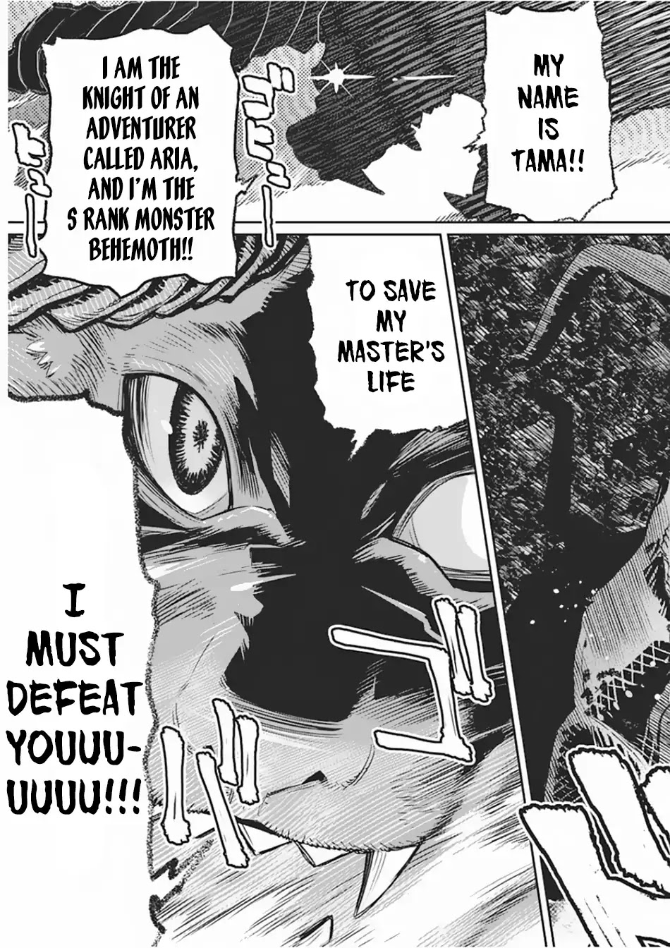 I Am Behemoth Of The S Rank Monster But I Am Mistaken As A Cat And I Live As A Pet Of Elf Girl Chapter 15 page 14 - Chapter 15