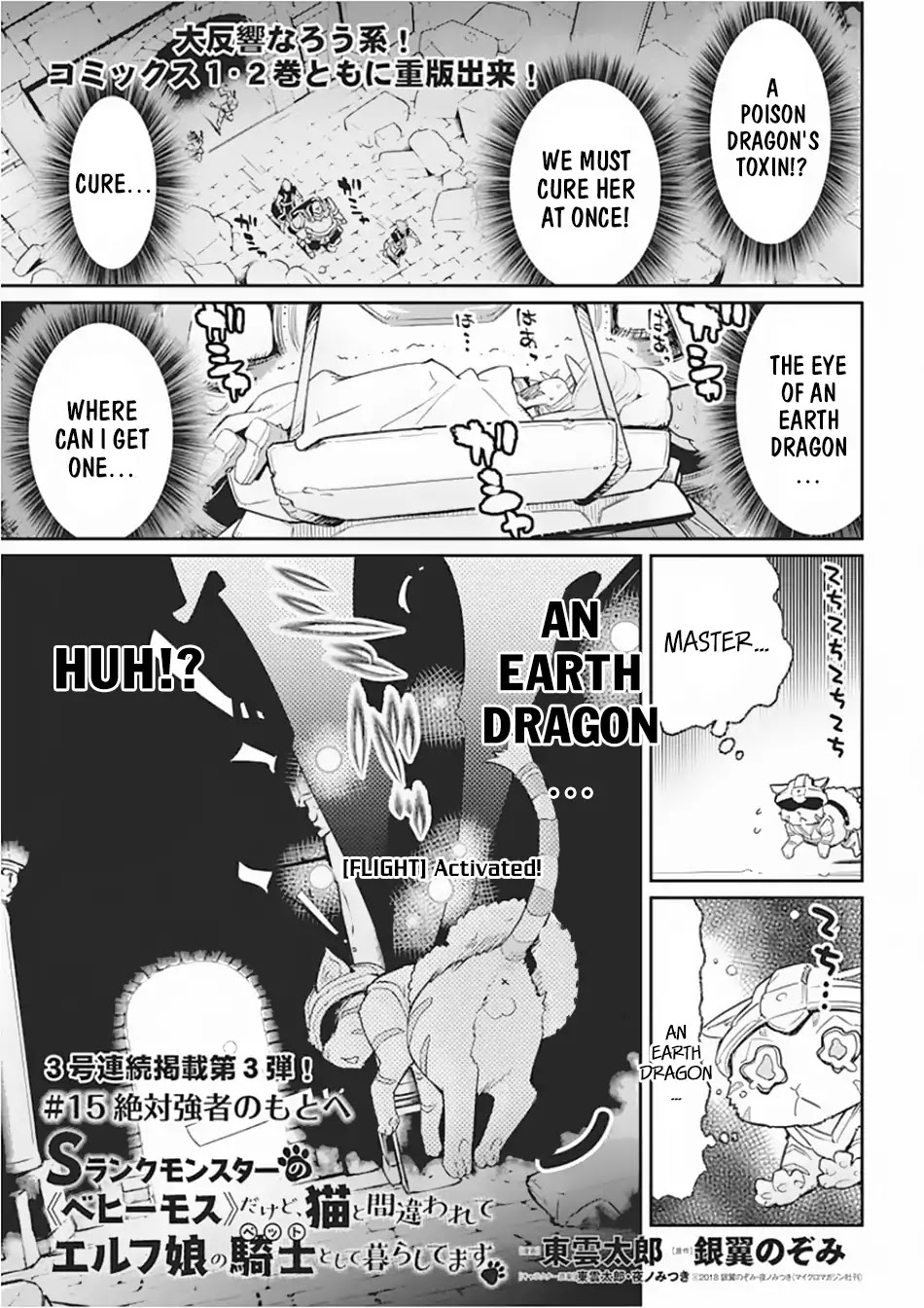 I Am Behemoth Of The S Rank Monster But I Am Mistaken As A Cat And I Live As A Pet Of Elf Girl Chapter 15 page 2 - Chapter 15
