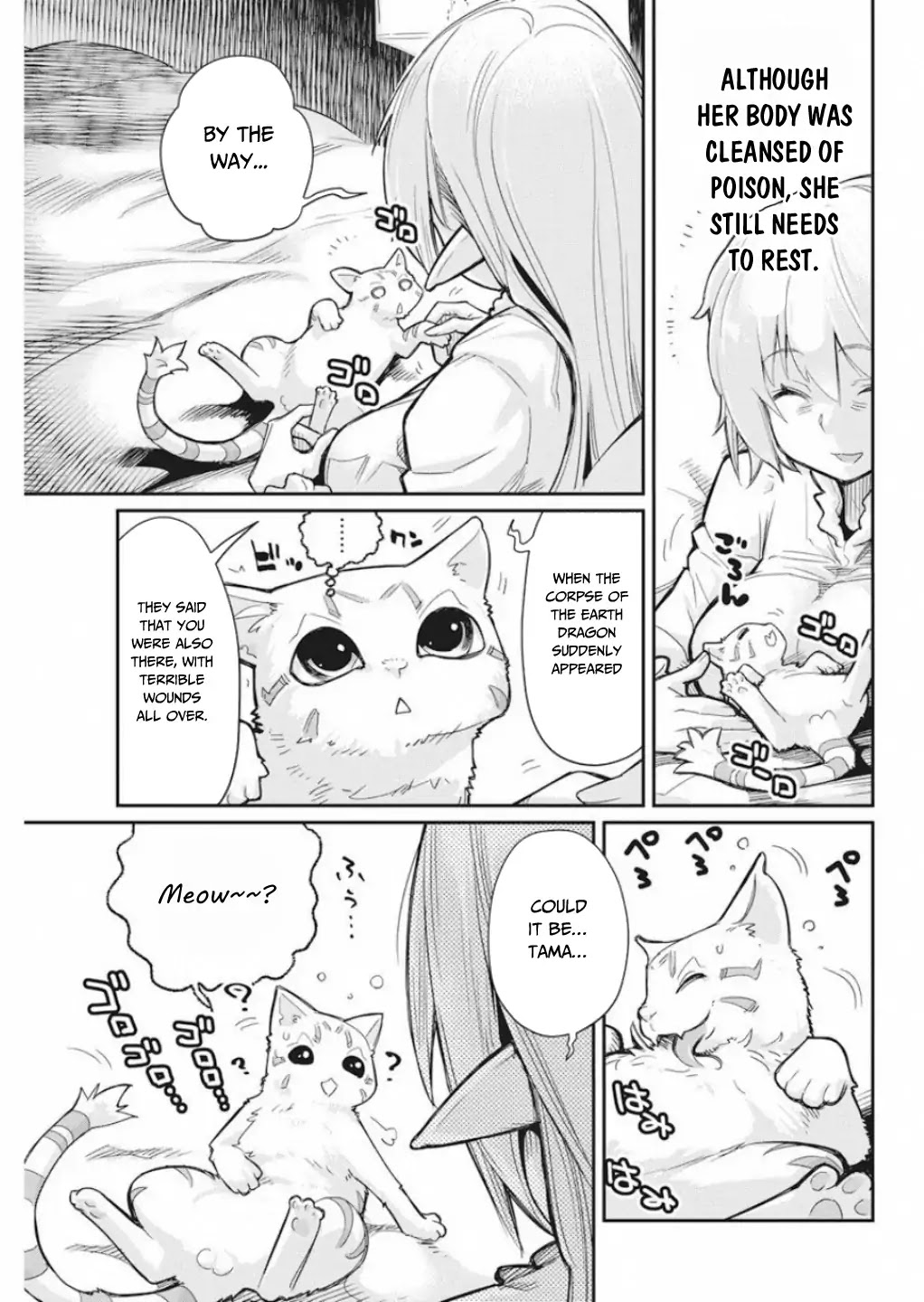 I Am Behemoth Of The S Rank Monster But I Am Mistaken As A Cat And I Live As A Pet Of Elf Girl Chapter 16 page 10 - Chapter 16