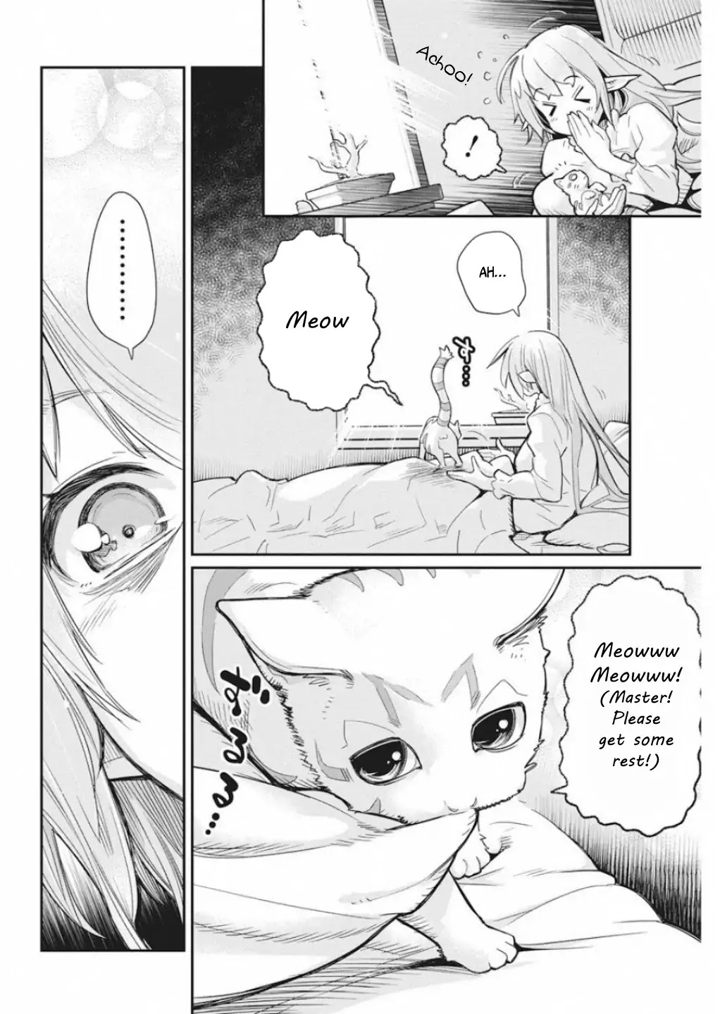I Am Behemoth Of The S Rank Monster But I Am Mistaken As A Cat And I Live As A Pet Of Elf Girl Chapter 16 page 13 - Chapter 16