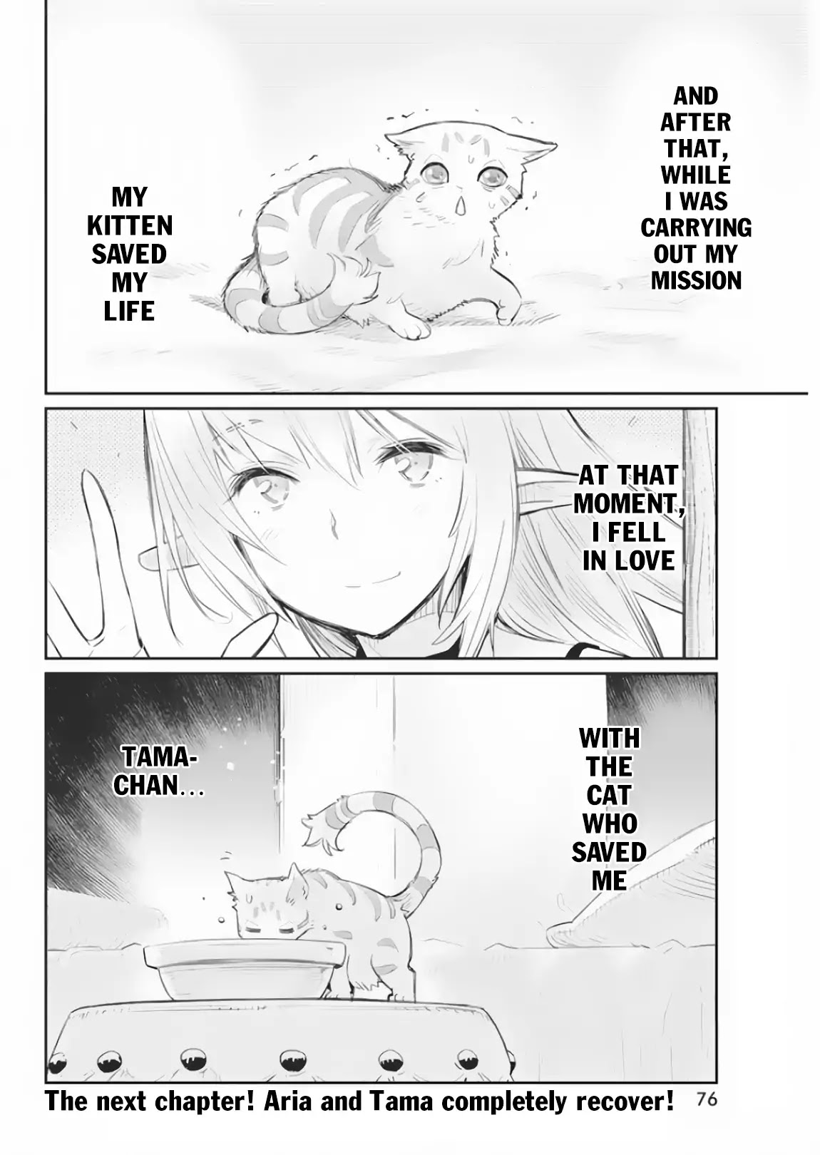 I Am Behemoth Of The S Rank Monster But I Am Mistaken As A Cat And I Live As A Pet Of Elf Girl Chapter 17 page 24 - Chapter 17