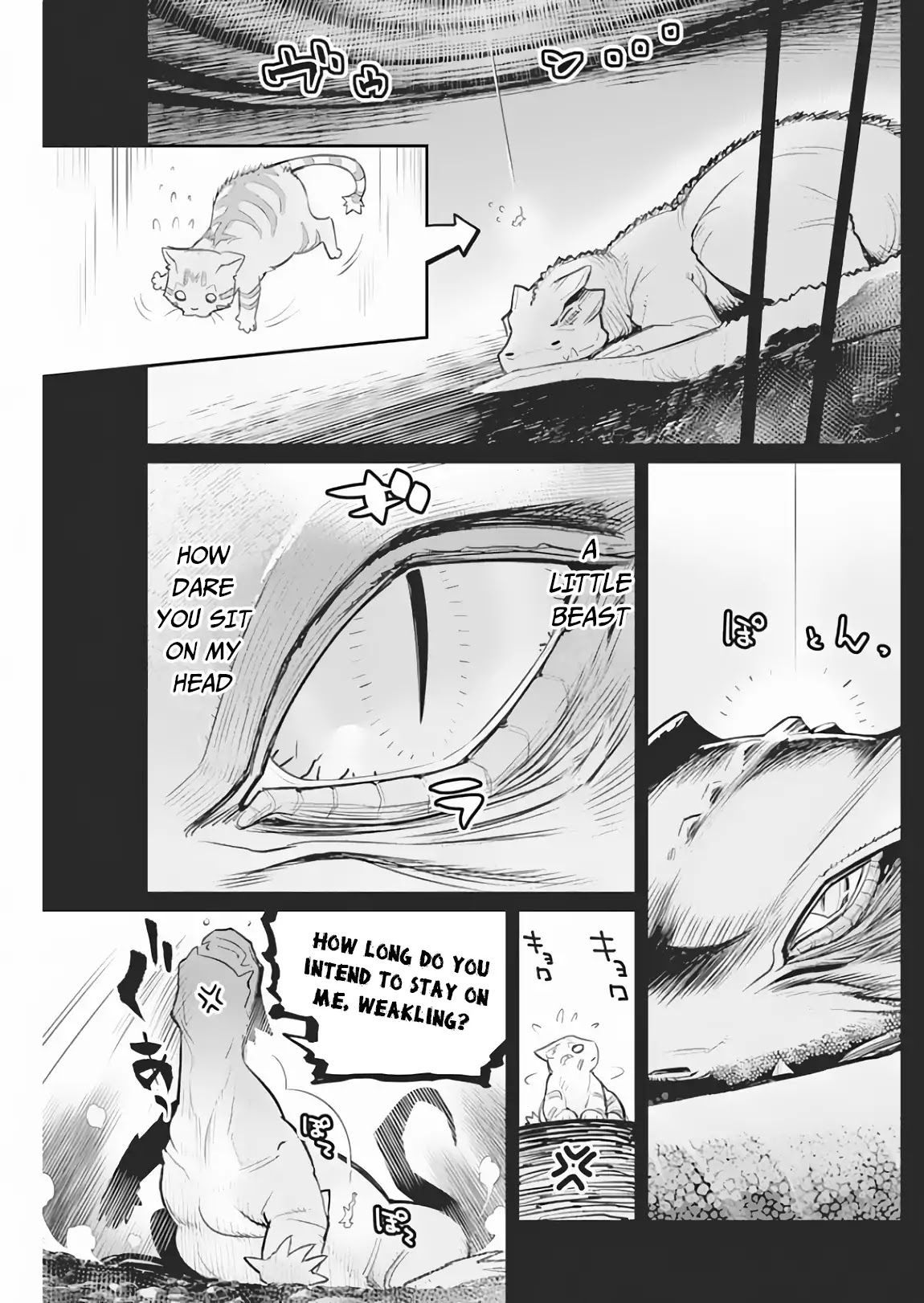 I Am Behemoth Of The S Rank Monster But I Am Mistaken As A Cat And I Live As A Pet Of Elf Girl Chapter 18 page 10 - Chapter 18