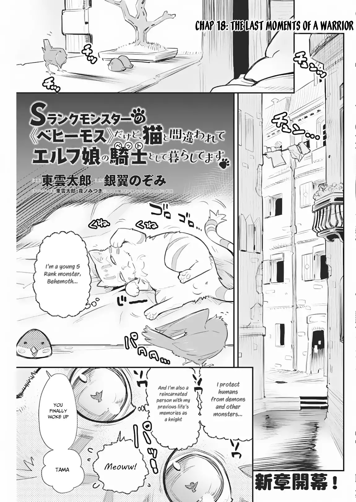 I Am Behemoth Of The S Rank Monster But I Am Mistaken As A Cat And I Live As A Pet Of Elf Girl Chapter 18 page 2 - Chapter 18