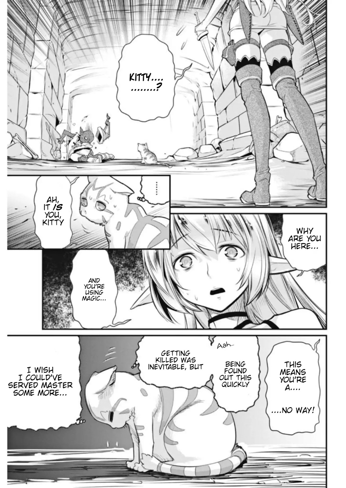 I Am Behemoth Of The S Rank Monster But I Am Mistaken As A Cat And I Live As A Pet Of Elf Girl Chapter 2 page 17 - Chapter 2: The Elf Girl's Secret
