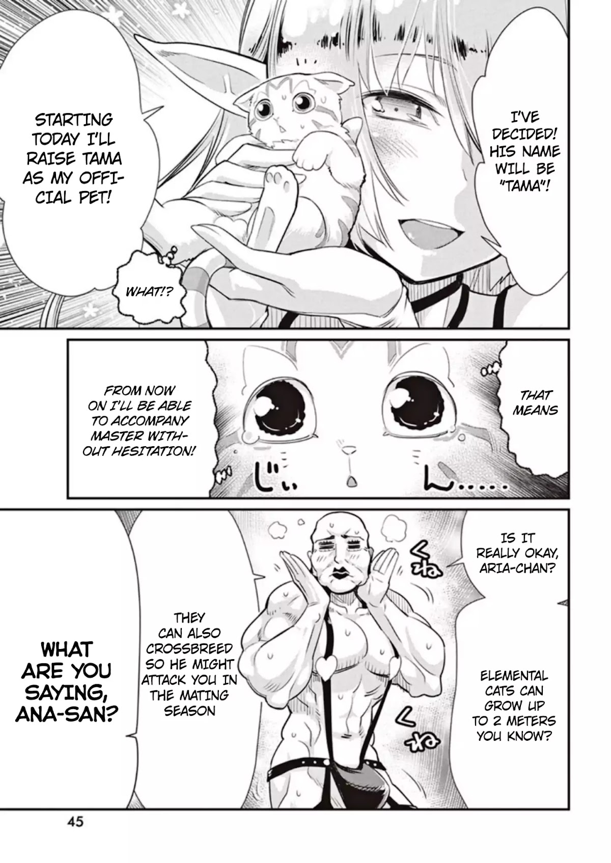 I Am Behemoth Of The S Rank Monster But I Am Mistaken As A Cat And I Live As A Pet Of Elf Girl Chapter 3 page 11 - Chapter 3: The Elf Girl's Bigger Secret