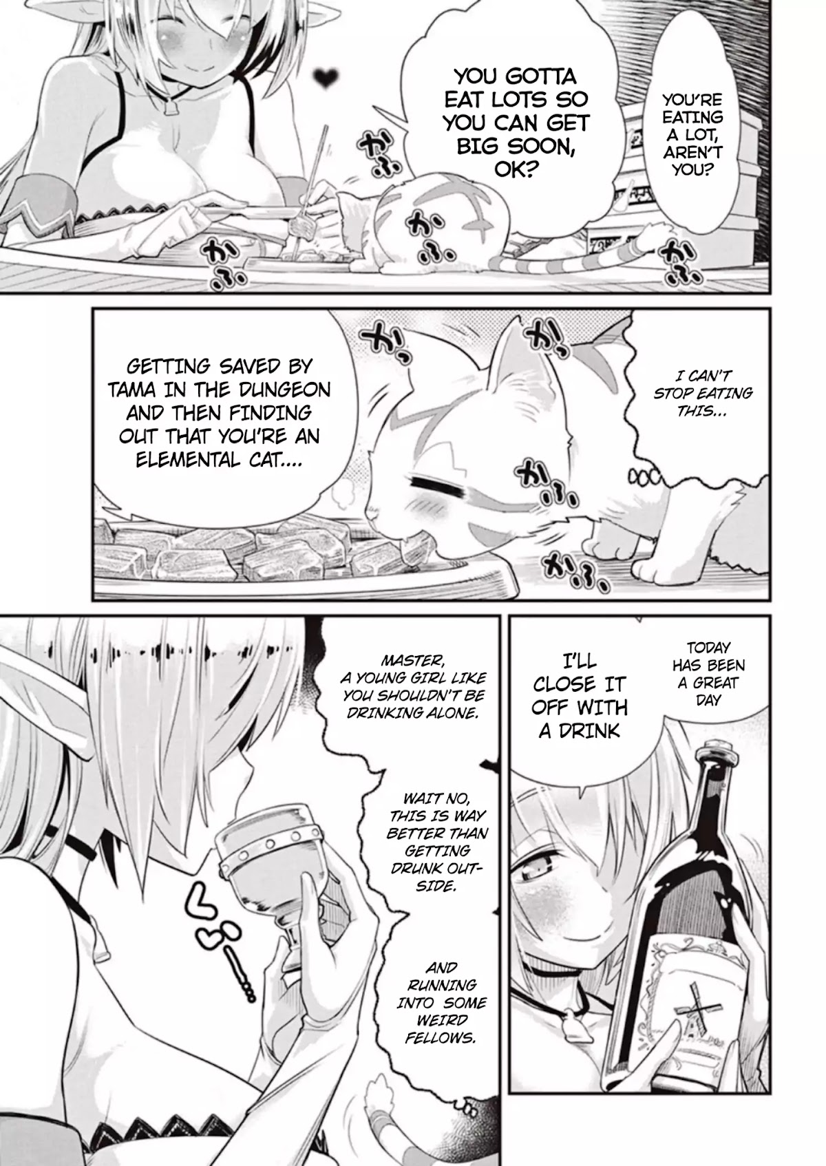 I Am Behemoth Of The S Rank Monster But I Am Mistaken As A Cat And I Live As A Pet Of Elf Girl Chapter 3 page 21 - Chapter 3: The Elf Girl's Bigger Secret