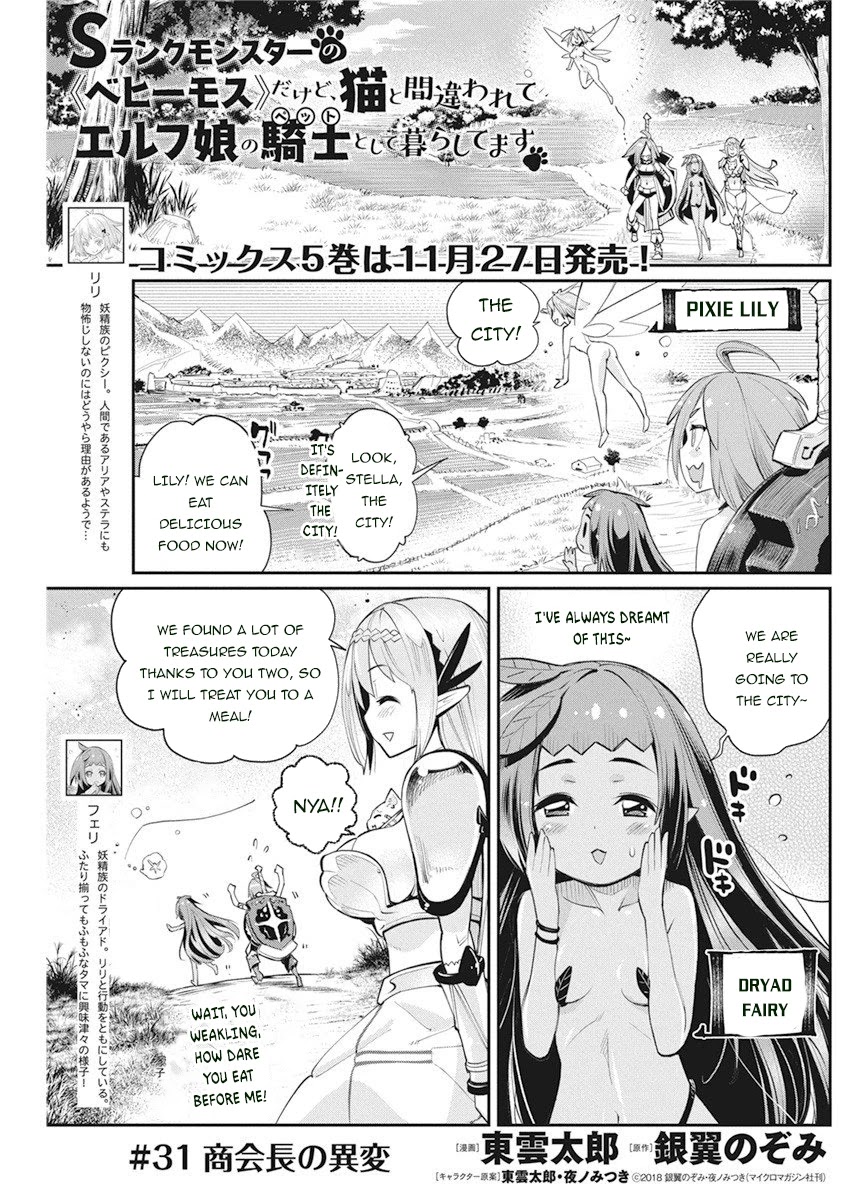 I Am Behemoth Of The S Rank Monster But I Am Mistaken As A Cat And I Live As A Pet Of Elf Girl Chapter 31 page 2 - Chapter 31