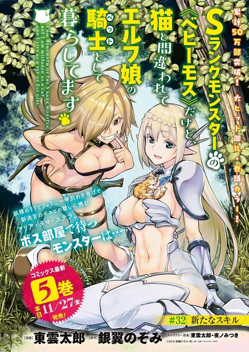 I Am Behemoth Of The S Rank Monster But I Am Mistaken As A Cat And I Live As A Pet Of Elf Girl Chapter 32 page 2 - Chapter 32