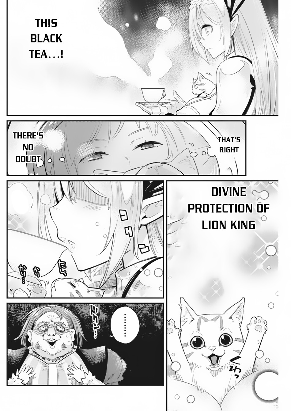 I Am Behemoth Of The S Rank Monster But I Am Mistaken As A Cat And I Live As A Pet Of Elf Girl Chapter 33 page 14 - Chapter 33