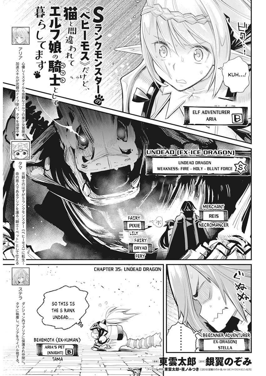 I Am Behemoth Of The S Rank Monster But I Am Mistaken As A Cat And I Live As A Pet Of Elf Girl Chapter 35 page 2 - Chapter 35