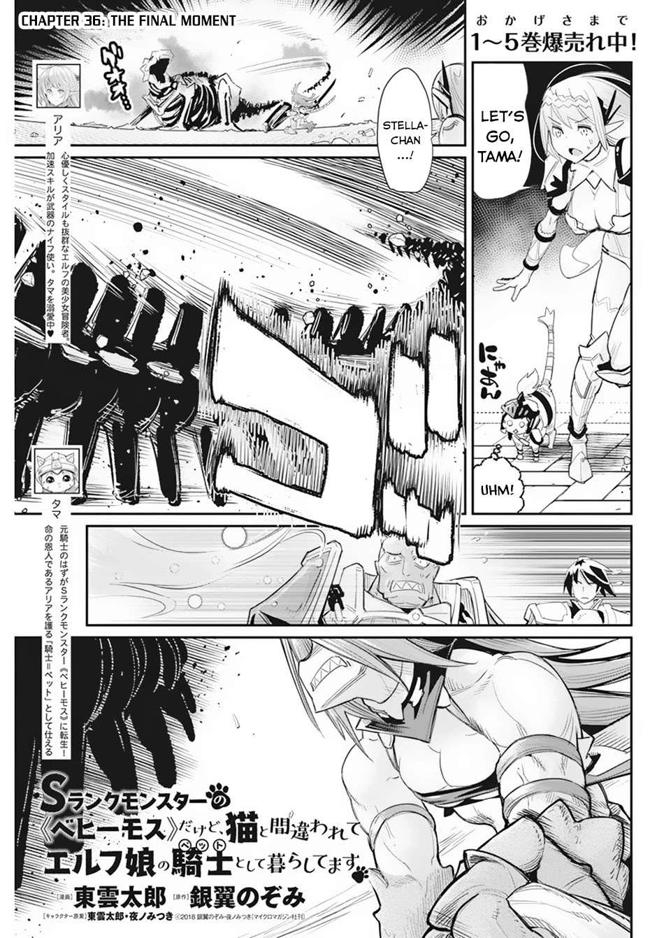I Am Behemoth Of The S Rank Monster But I Am Mistaken As A Cat And I Live As A Pet Of Elf Girl Chapter 36 page 2 - Chapter 36