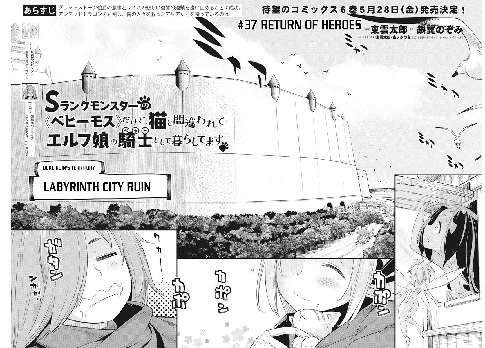 I Am Behemoth Of The S Rank Monster But I Am Mistaken As A Cat And I Live As A Pet Of Elf Girl Chapter 37 page 5 - Chapter 37
