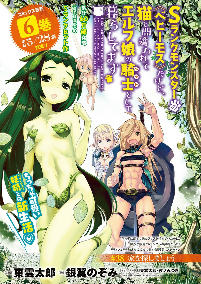 I Am Behemoth Of The S Rank Monster But I Am Mistaken As A Cat And I Live As A Pet Of Elf Girl Chapter 38 page 2 - Chapter 38