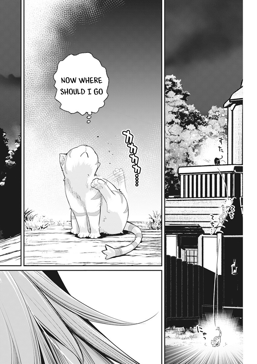 I Am Behemoth Of The S Rank Monster But I Am Mistaken As A Cat And I Live As A Pet Of Elf Girl Chapter 38 page 22 - Chapter 38