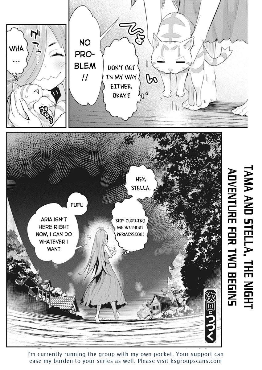 I Am Behemoth Of The S Rank Monster But I Am Mistaken As A Cat And I Live As A Pet Of Elf Girl Chapter 38 page 26 - Chapter 38
