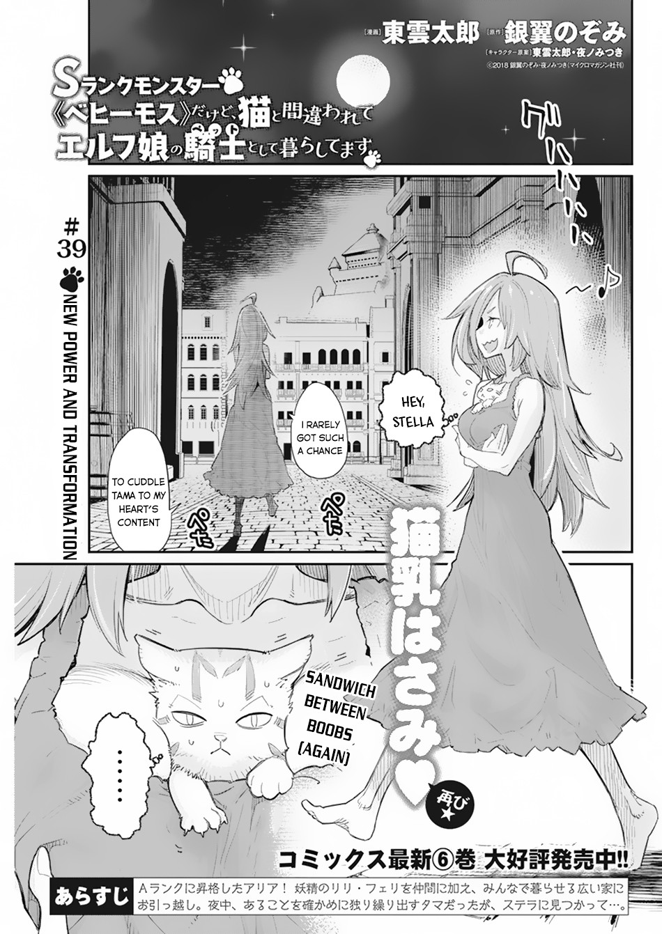 I Am Behemoth Of The S Rank Monster But I Am Mistaken As A Cat And I Live As A Pet Of Elf Girl Chapter 39 page 2 - Chapter 39