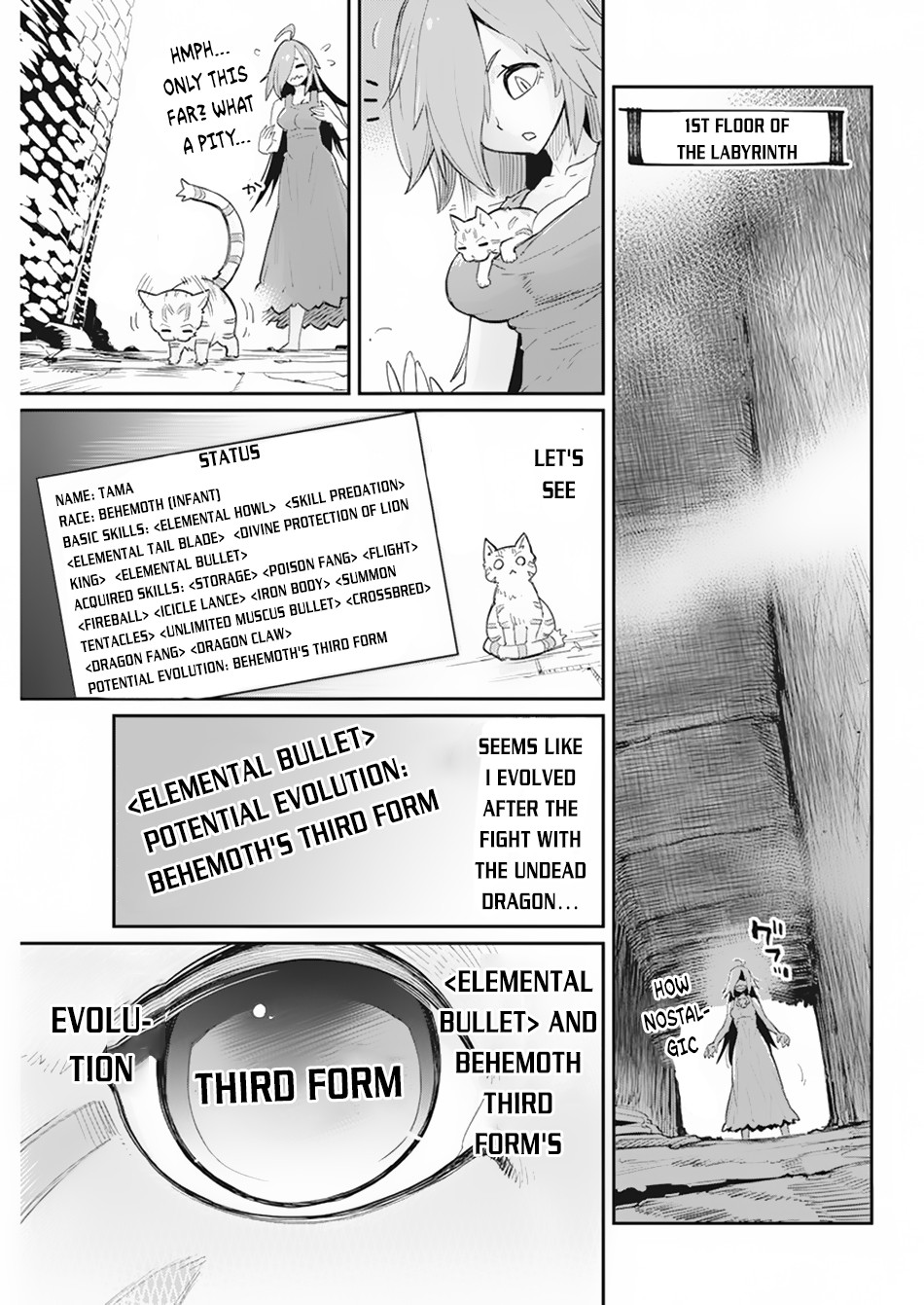 I Am Behemoth Of The S Rank Monster But I Am Mistaken As A Cat And I Live As A Pet Of Elf Girl Chapter 39 page 8 - Chapter 39