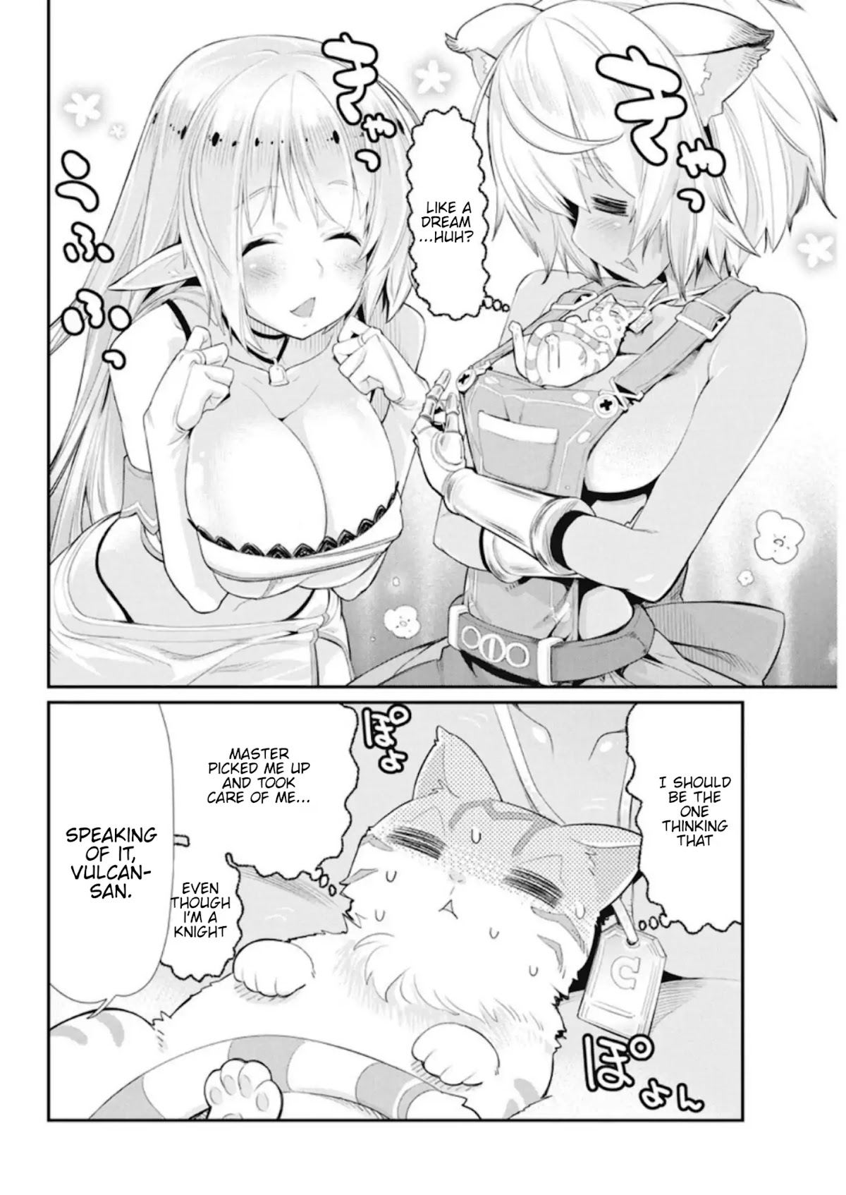I Am Behemoth Of The S Rank Monster But I Am Mistaken As A Cat And I Live As A Pet Of Elf Girl Chapter 4 page 14 - Chapter 4: Vulcan's Armour shop