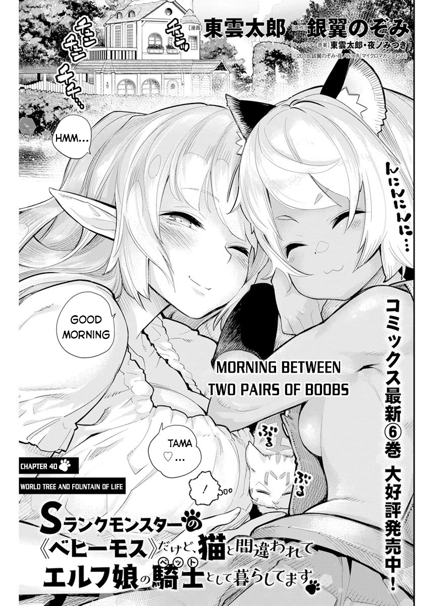 I Am Behemoth Of The S Rank Monster But I Am Mistaken As A Cat And I Live As A Pet Of Elf Girl Chapter 40 page 2 - Chapter 40