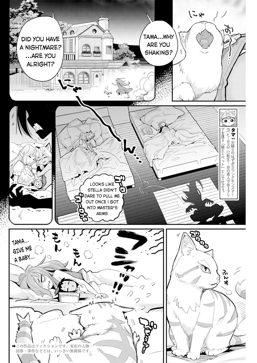 I Am Behemoth Of The S Rank Monster But I Am Mistaken As A Cat And I Live As A Pet Of Elf Girl Chapter 40 page 3 - Chapter 40
