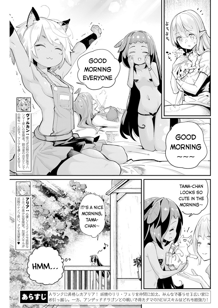 I Am Behemoth Of The S Rank Monster But I Am Mistaken As A Cat And I Live As A Pet Of Elf Girl Chapter 40 page 4 - Chapter 40