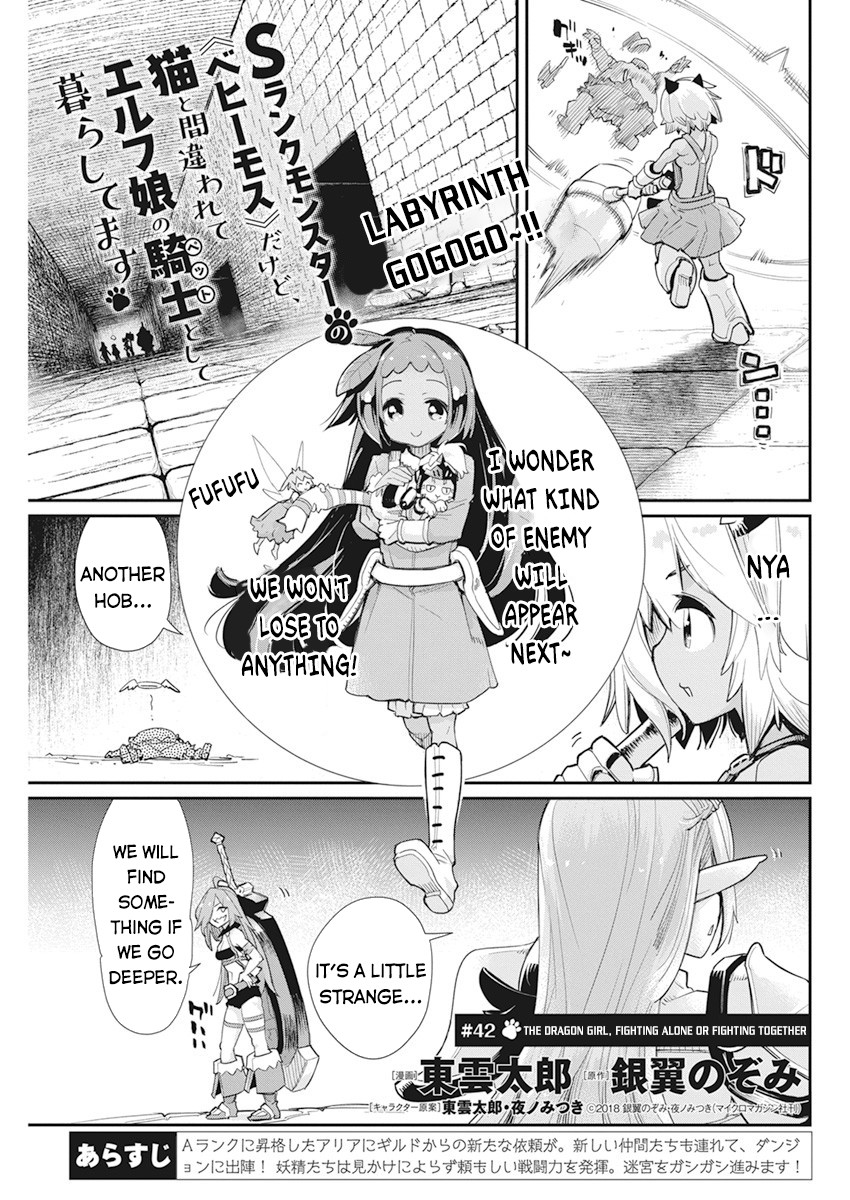 I Am Behemoth Of The S Rank Monster But I Am Mistaken As A Cat And I Live As A Pet Of Elf Girl Chapter 42 page 2 - Chapter 42: The Dragon Girl, Fighting Alone or Fighting Together