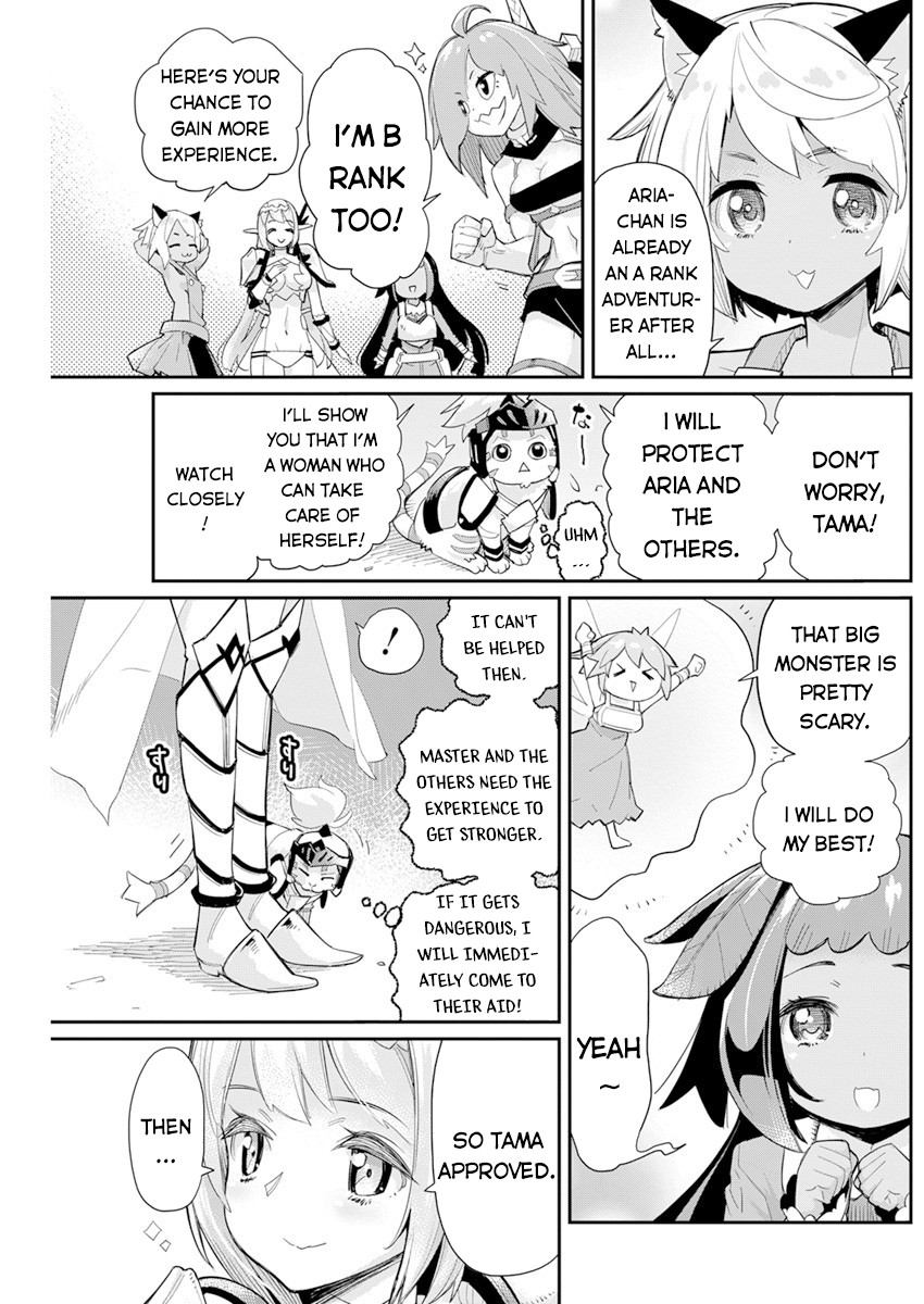 I Am Behemoth Of The S Rank Monster But I Am Mistaken As A Cat And I Live As A Pet Of Elf Girl Chapter 43 page 12 - Chapter 43: Break vs Troll