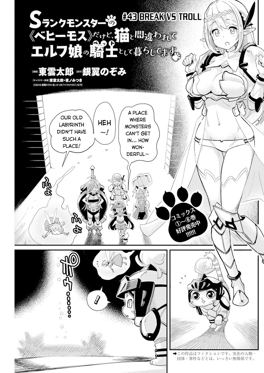 I Am Behemoth Of The S Rank Monster But I Am Mistaken As A Cat And I Live As A Pet Of Elf Girl Chapter 43 page 2 - Chapter 43: Break vs Troll