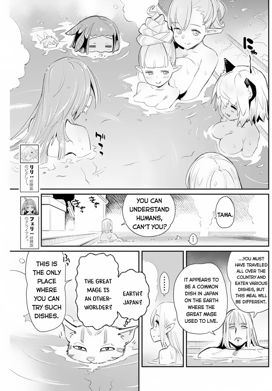 I Am Behemoth Of The S Rank Monster But I Am Mistaken As A Cat And I Live As A Pet Of Elf Girl Chapter 47 page 11 - Chapter 47: The Smiling Sword Saint