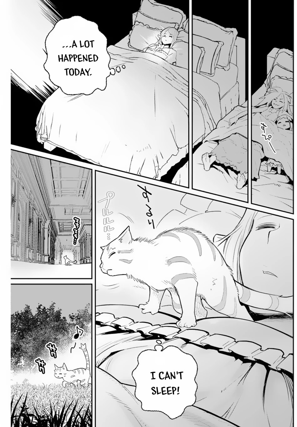 I Am Behemoth Of The S Rank Monster But I Am Mistaken As A Cat And I Live As A Pet Of Elf Girl Chapter 47 page 15 - Chapter 47: The Smiling Sword Saint