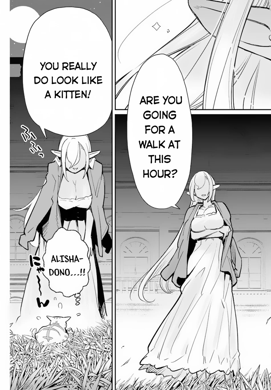 I Am Behemoth Of The S Rank Monster But I Am Mistaken As A Cat And I Live As A Pet Of Elf Girl Chapter 47 page 17 - Chapter 47: The Smiling Sword Saint