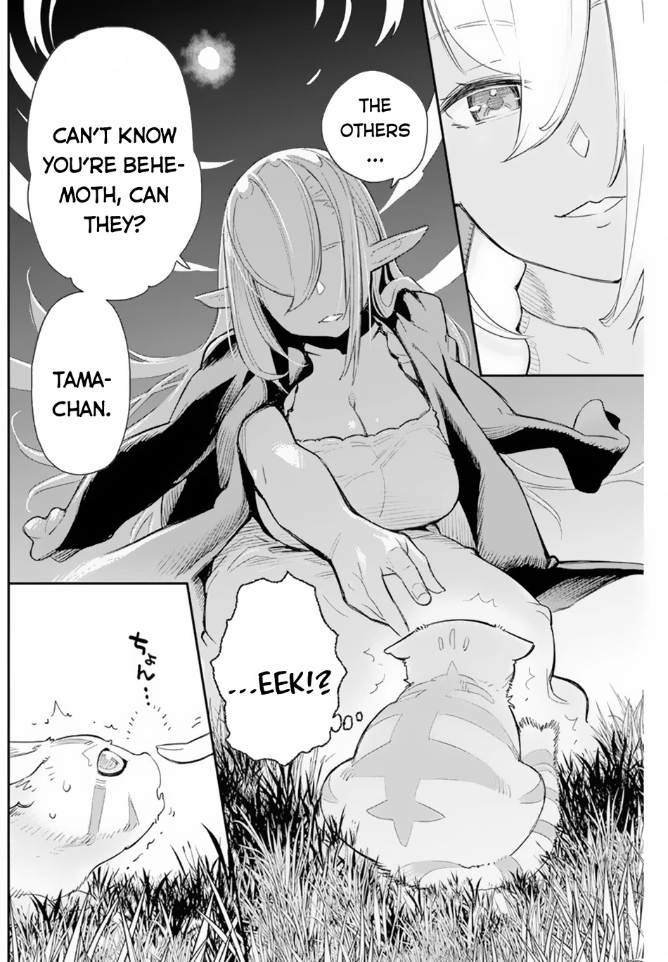 I Am Behemoth Of The S Rank Monster But I Am Mistaken As A Cat And I Live As A Pet Of Elf Girl Chapter 47 page 18 - Chapter 47: The Smiling Sword Saint