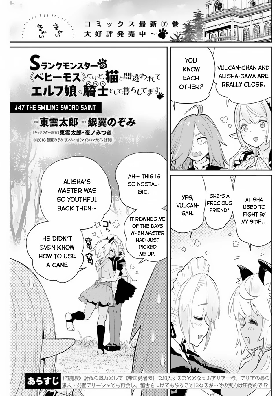 I Am Behemoth Of The S Rank Monster But I Am Mistaken As A Cat And I Live As A Pet Of Elf Girl Chapter 47 page 2 - Chapter 47: The Smiling Sword Saint