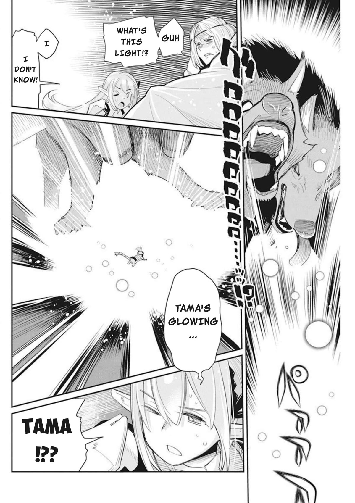 I Am Behemoth Of The S Rank Monster But I Am Mistaken As A Cat And I Live As A Pet Of Elf Girl Chapter 50 page 17 - Chapter 50: Tama's Determination and the Sword Saint's Power