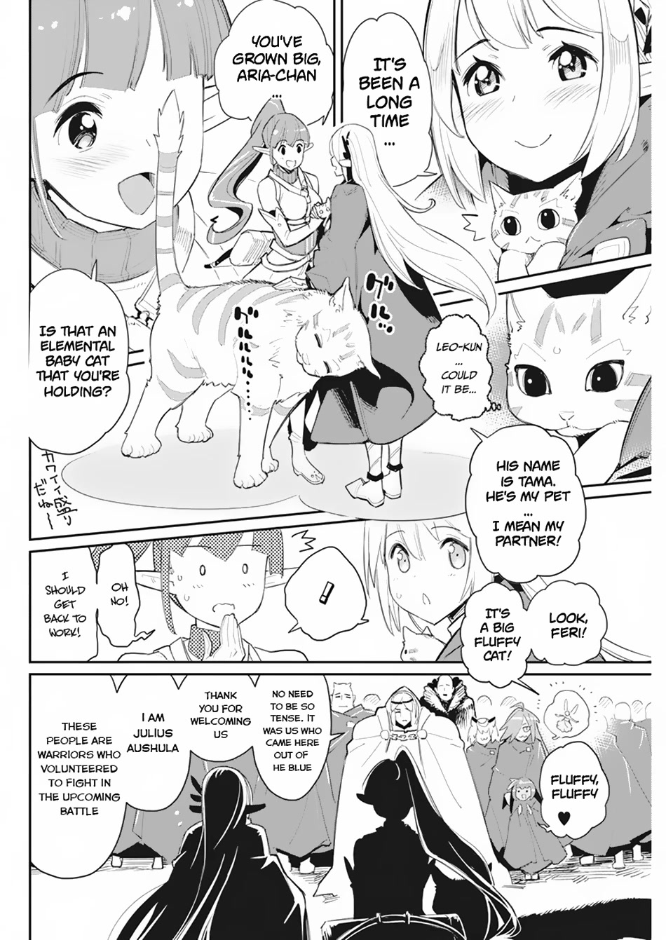 I Am Behemoth Of The S Rank Monster But I Am Mistaken As A Cat And I Live As A Pet Of Elf Girl Chapter 54 page 6 - Chapter 54