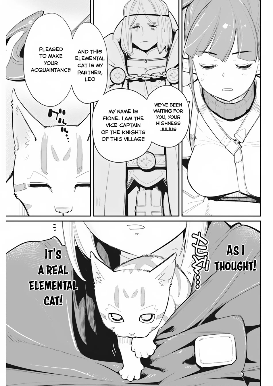 I Am Behemoth Of The S Rank Monster But I Am Mistaken As A Cat And I Live As A Pet Of Elf Girl Chapter 54 page 7 - Chapter 54