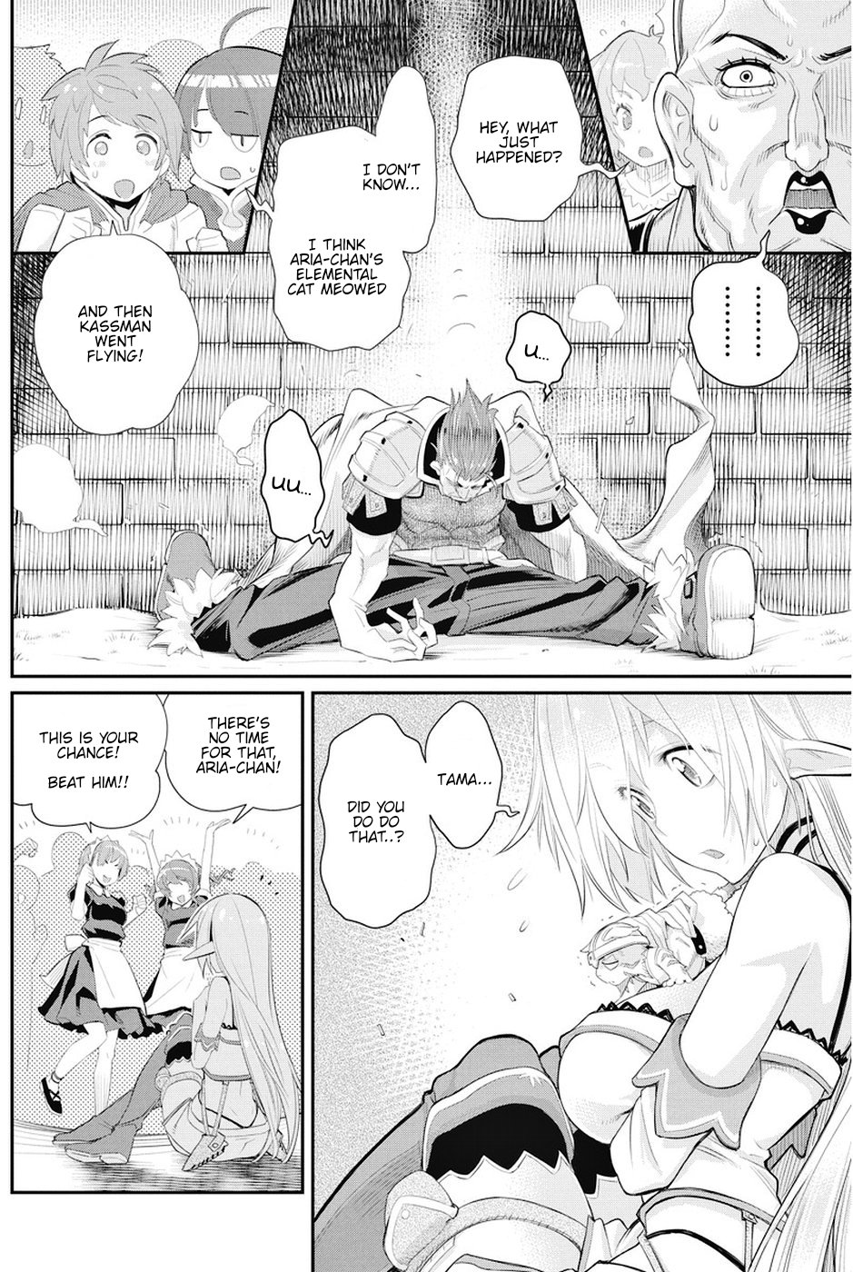 I Am Behemoth Of The S Rank Monster But I Am Mistaken As A Cat And I Live As A Pet Of Elf Girl Chapter 6 page 13 - Chapter 6: Duel
