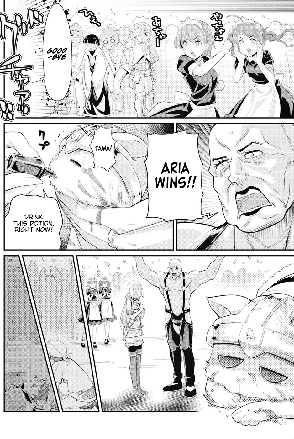 I Am Behemoth Of The S Rank Monster But I Am Mistaken As A Cat And I Live As A Pet Of Elf Girl Chapter 6 page 15 - Chapter 6: Duel