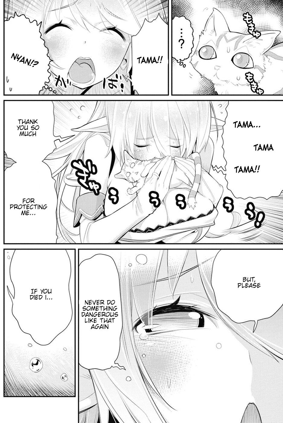 I Am Behemoth Of The S Rank Monster But I Am Mistaken As A Cat And I Live As A Pet Of Elf Girl Chapter 6 page 17 - Chapter 6: Duel