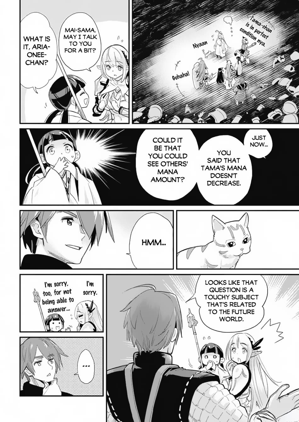 I Am Behemoth Of The S Rank Monster But I Am Mistaken As A Cat And I Live As A Pet Of Elf Girl Chapter 64 page 17 - Chapter 64