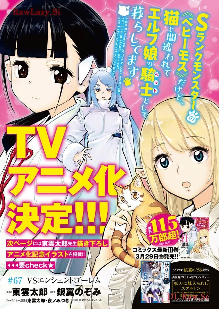 I Am Behemoth Of The S Rank Monster But I Am Mistaken As A Cat And I Live As A Pet Of Elf Girl Chapter 67 page 2 - Chapter 67