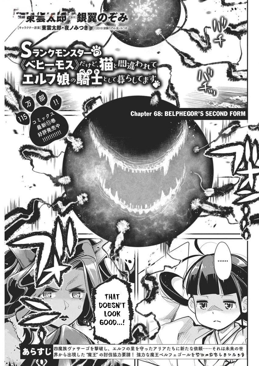 I Am Behemoth Of The S Rank Monster But I Am Mistaken As A Cat And I Live As A Pet Of Elf Girl Chapter 68 page 3 - Chapter 68