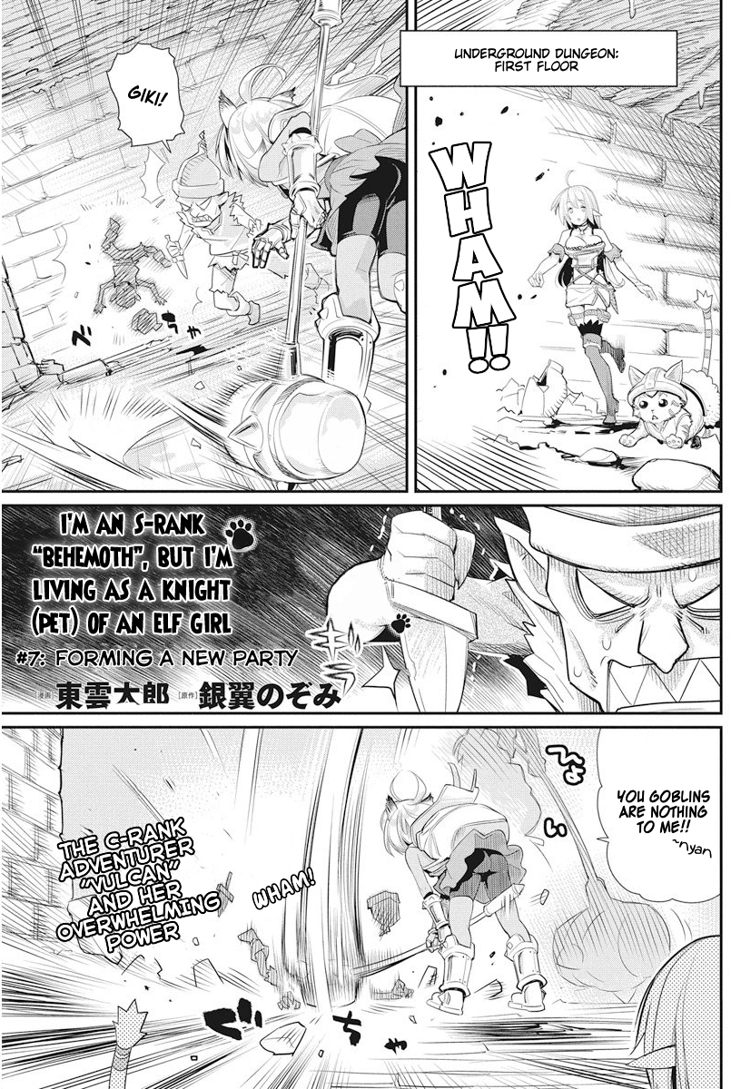 I Am Behemoth Of The S Rank Monster But I Am Mistaken As A Cat And I Live As A Pet Of Elf Girl Chapter 7 page 2 - Chapter 7: Forming a new party