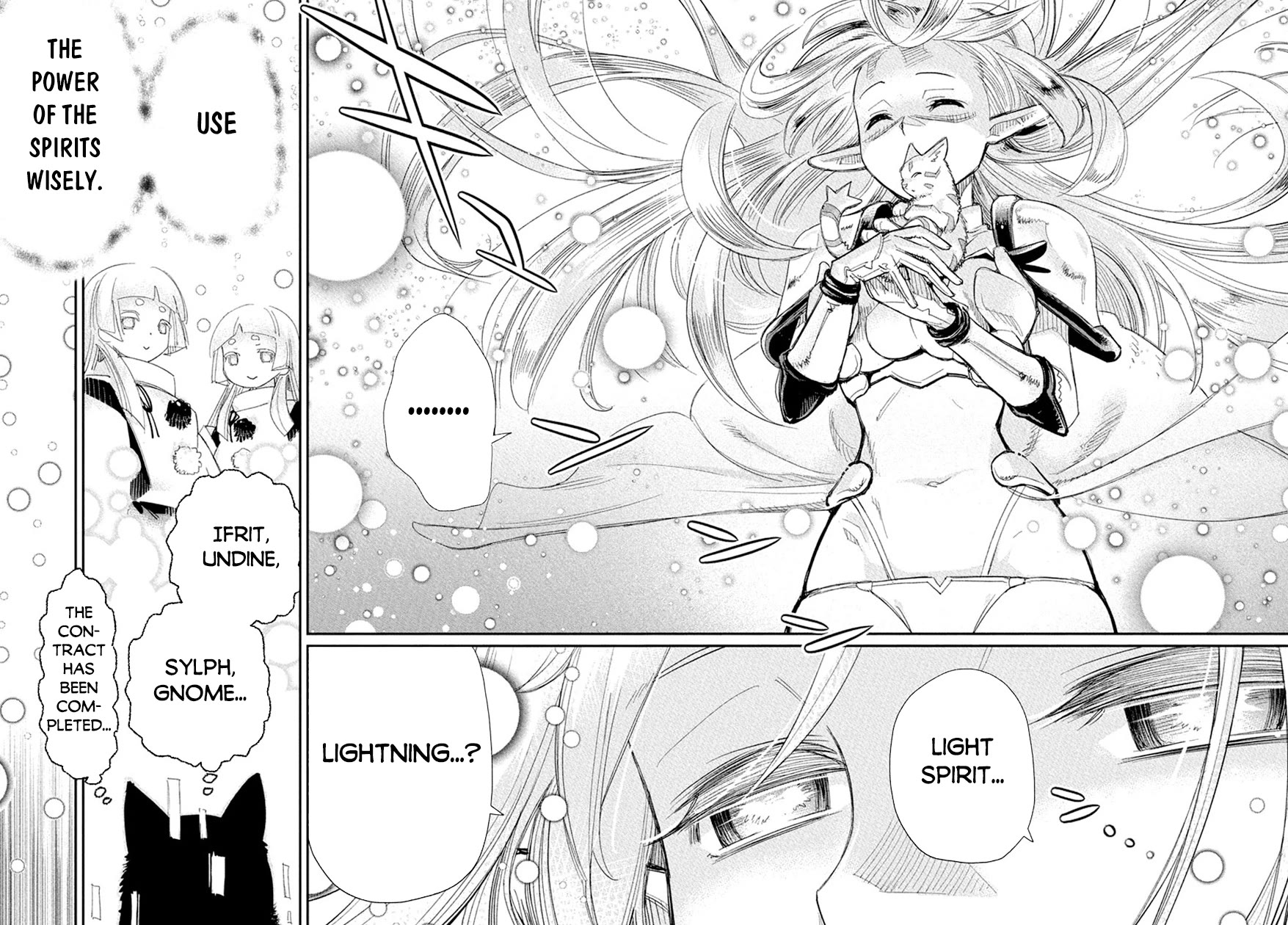 I Am Behemoth Of The S Rank Monster But I Am Mistaken As A Cat And I Live As A Pet Of Elf Girl Chapter 77 page 13 - Chapter 77